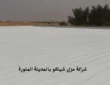شركة عزل شينكو بالمدينة المنورة