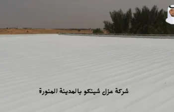 افضل شركة عزل شينكو بالمدينة المنورة