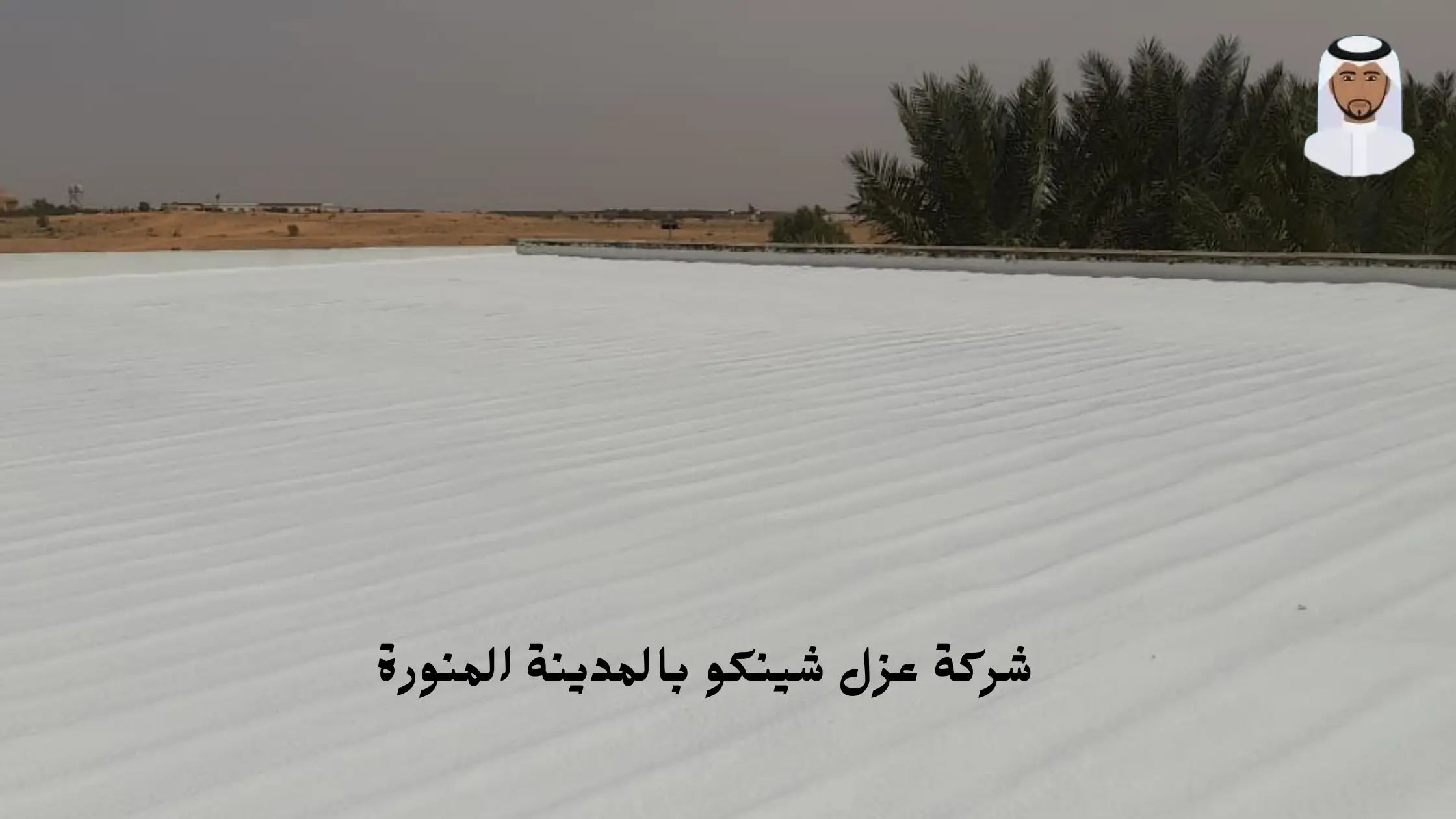 افضل شركة عزل شينكو بالمدينة المنورة