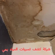 افضل شركة كشف تسربات المياه بحي النرجس