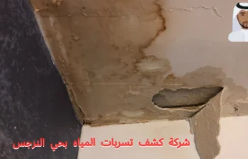 افضل شركة كشف تسربات المياه بحي النرجس